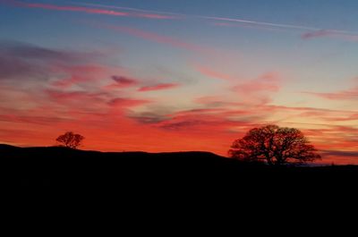 Silhouette trees against sky during sunset