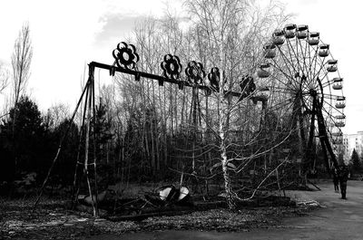 Low angle view of trees against sky