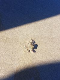 High angle view of shadow on sand at beach