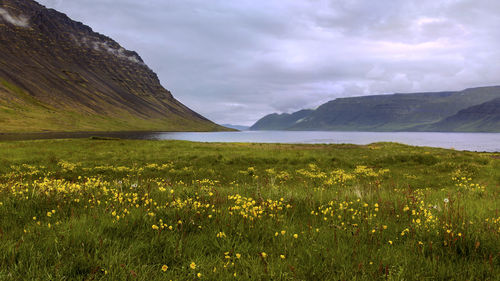 View of a lake with mountain range in the background