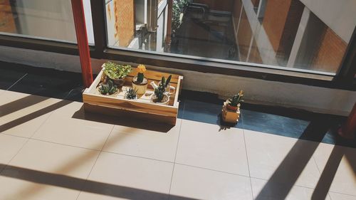 High angle view of potted plants on window sill