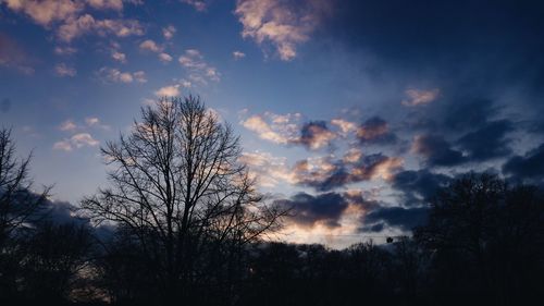 Low angle view of silhouette trees against sky during sunset