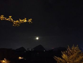 High section of illuminated trees against sky at night