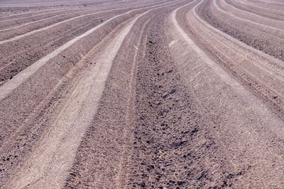 Field with plowed furrows