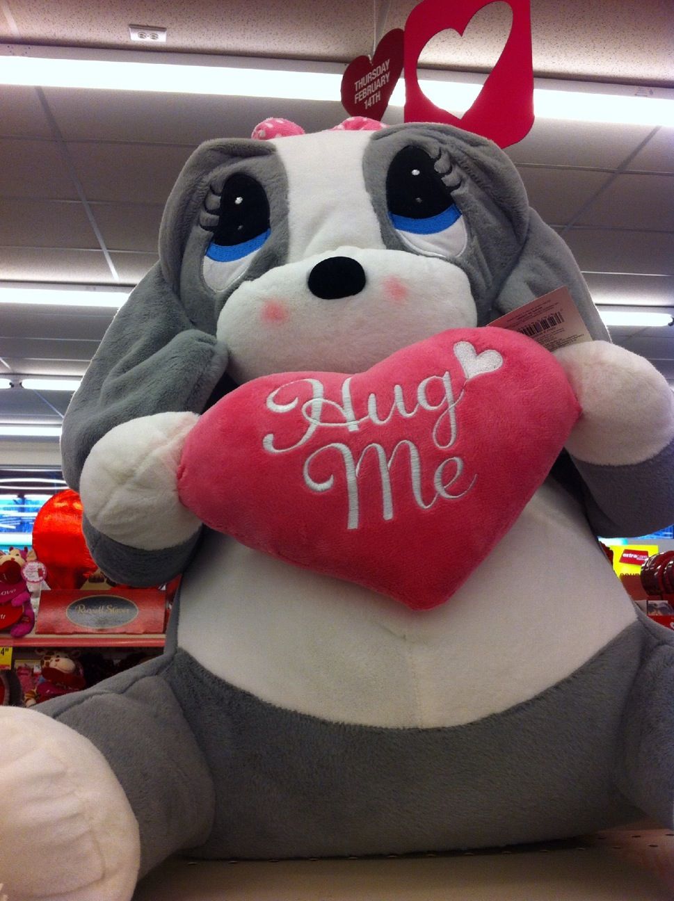 I so want this for Valentine's Day