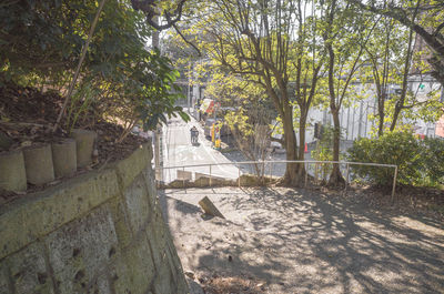 Trees along built structure