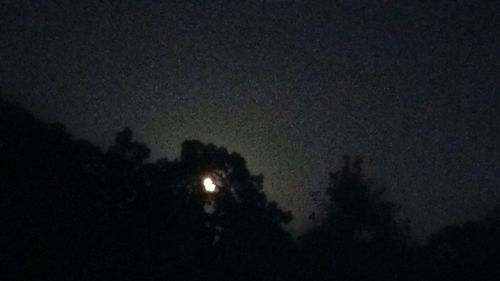 Low angle view of sky at night