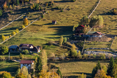 High angle view of agricultural field