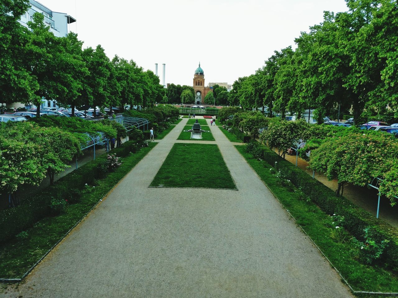 tree, the way forward, clear sky, transportation, growth, road, built structure, green color, architecture, incidental people, plant, building exterior, diminishing perspective, street, day, footpath, outdoors, street light, sky, vanishing point