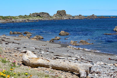 Scenic view of sea against clear blue sky