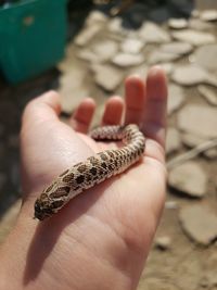 Close-up of person holding hand