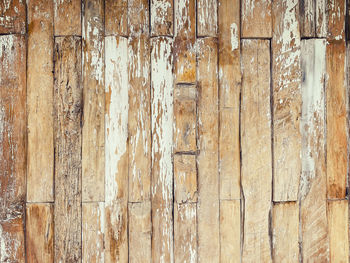 Old wood and white paint background and texture with copy space