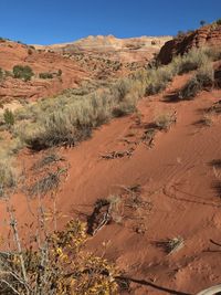 Aerial view of a desert