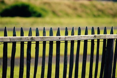 Close-up of fence