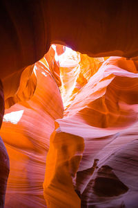 Cropped image of man standing on rock