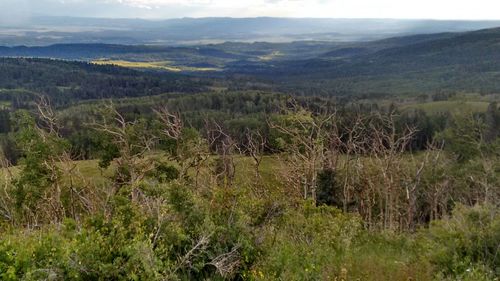 Scenic view of landscape