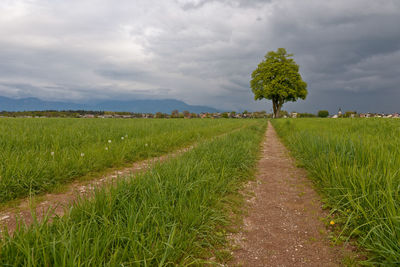 Road passing through field against cloudy sky