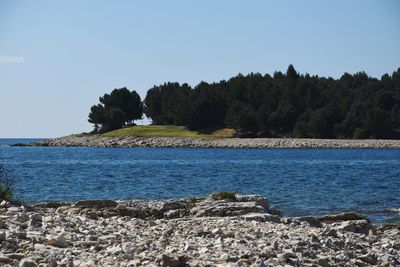 Scenic view of sea against clear sky