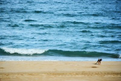 Scenic view of sea