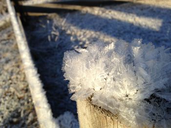 Close-up of snow