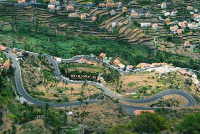 High angle view of rice paddy