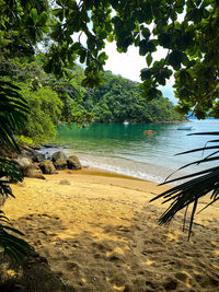 Scenic view of beach against sky