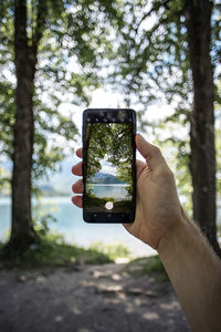 Hand holding mobile phone in forest