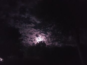 Low angle view of silhouette trees against sky at night