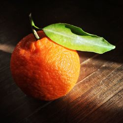 Close-up of fruit