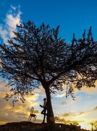 Low angle view of silhouette tree against sky during sunset