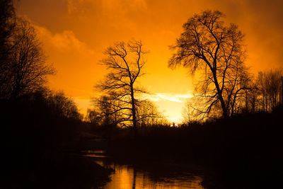 Silhouette trees against sky during sunset