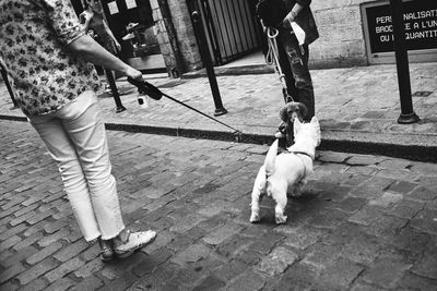 Low section of people with dog on footpath
