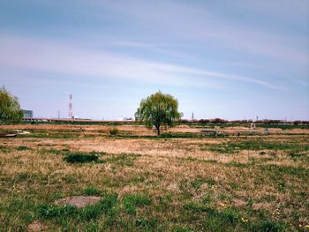 Scenic view of grassy field against cloudy sky