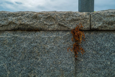 Close-up of weathered wall