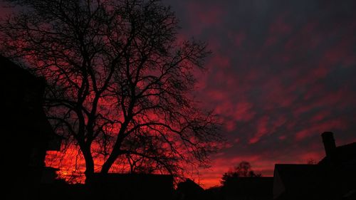 Low angle view of silhouette tree against sky at sunset