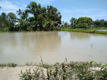 Scenic view of lake against sky