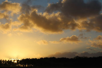 Silhouette trees against sky during sunset