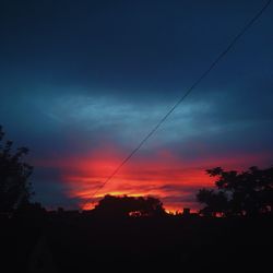 Silhouette of trees at sunset