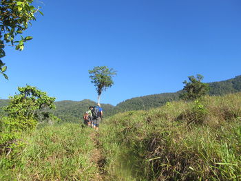 Scenic view of landscape against clear sky