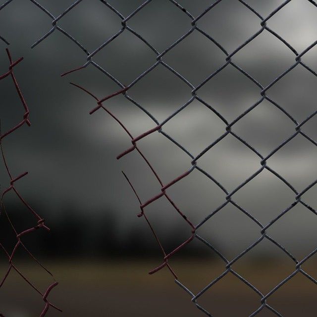 chainlink fence, fence, protection, safety, focus on foreground, security, metal, sky, barbed wire, full frame, backgrounds, no people, close-up, outdoors, day, pattern, bird, nature, building exterior, cloud - sky