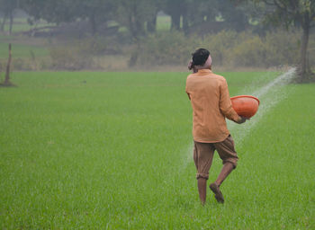 Indian farmer spreading fertilizer in the wheat field