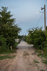 Road amidst trees against sky