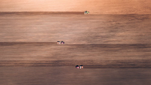 High angle view of people on shore