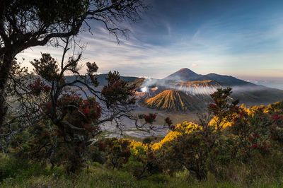 View of trees by volcanic crater against cloudy sky