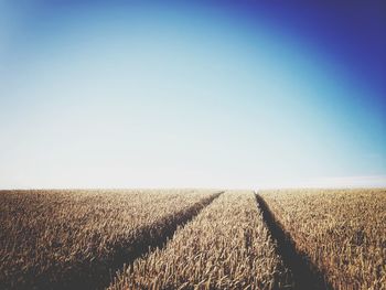 Scenic view of landscape against clear sky