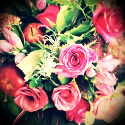 Close-up of pink roses