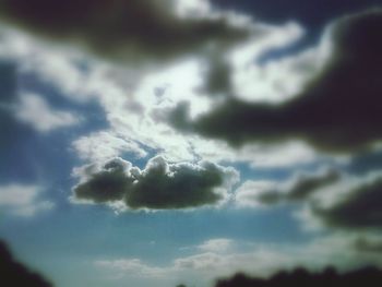 Trees against cloudy sky