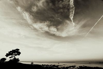 Low angle view of silhouette trees against sky