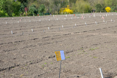 Arrow symbol in a field