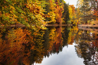 Scenic view of lake in forest during autumn